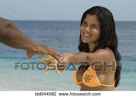 Hispanic woman handing starfish to boyfriend View Large Photo Image Stock Image - Hispanic woman handing starfish to boyfriend. Fotosearch
