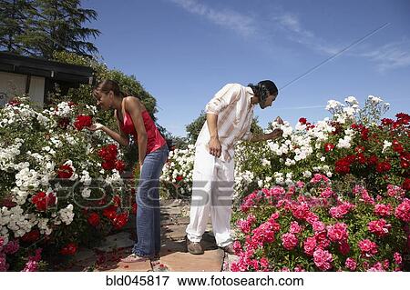 Stock Photo - Multi-ethnic couple smelling flowers. Fotosearch