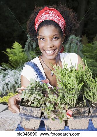 African American woman holding potted plants View Large Photo Image Stock Image - African American woman holding potted plants. Fotosearch