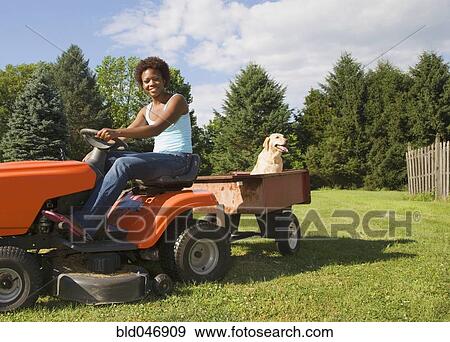 African American woman mowing lawn View Large Photo Image Stock Photo - African American woman mowing lawn. Fotosearch