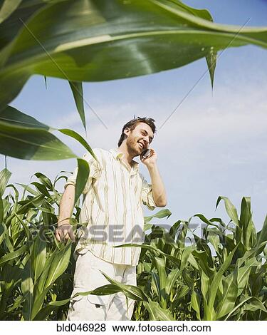 Middle Eastern man using cell phone in corn field View Large Photo Image Stock Photo - Middle Eastern man using cell phone in corn field. Fotosearch