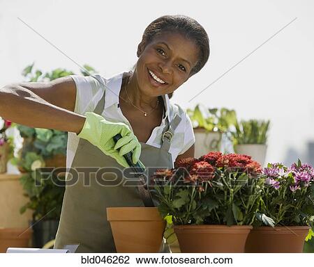 Senior African American woman gardening View Large Photo Image Stock Image - Senior African American woman gardening. Fotosearch