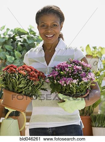 Senior African American woman holding potted plants View Large Photo Image Stock Image - Senior African American woman holding potted plants. Fotosearch