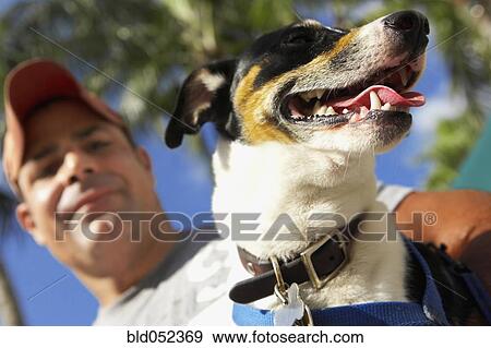 Low angle view of man and dog View Large Photo Image Stock Photo - Low angle view of man and dog. Fotosearch