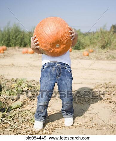 Hispanic child holding pumpkin View Large Photo Image Stock Photo - Hispanic child holding pumpkin. Fotosearch