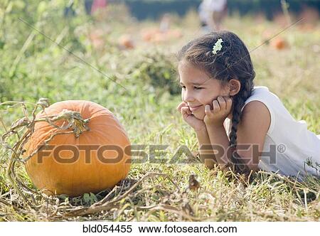 Hispanic girl looking at pumpkin View Large Photo Image Stock Photography - Hispanic girl looking at pumpkin. Fotosearch