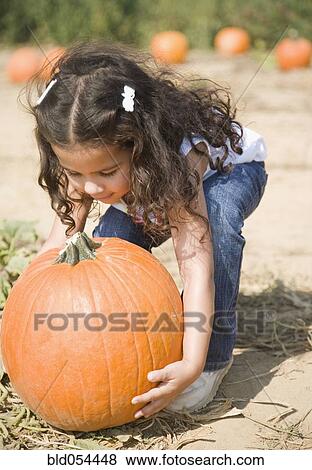 Stock Photo - Hispanic girl picking up pumpkin. Fotosearch