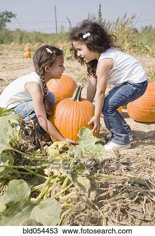 Stock Image - Hispanic sisters picking up pumpkin. Fotosearch