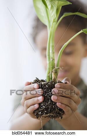 Stock Image - Mixed Race girl holding plant. Fotosearch