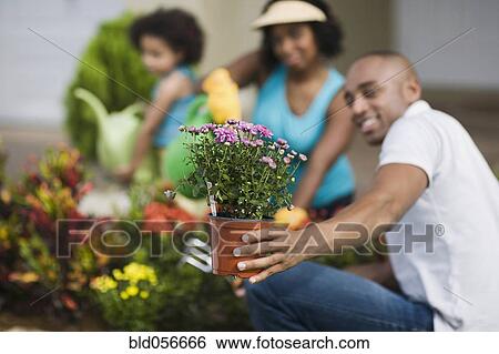 African family gardening View Large Photo Image Stock Photograph - African family gardening. Fotosearch