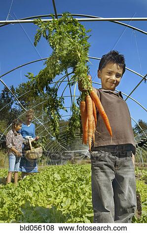Stock Photo - Hispanic boy holding bunch of organic carrots. Fotosearch