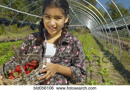 Stock Photograph - Hispanic girl holding basket of organic strawberries. Fotosearch