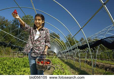 Stock Photography - Hispanic girl holding basket of organic strawberries. Fotosearch