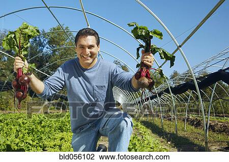 Stock Image - Hispanic man holding organic produce. Fotosearch