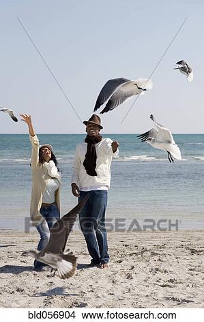 Multi-ethnic couple watching seagulls View Large Photo Image Picture - Multi-ethnic couple watching seagulls. Fotosearch