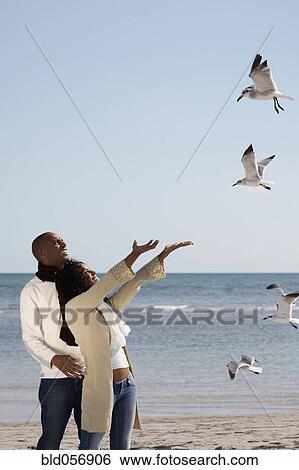 Multi-ethnic couple watching seagulls View Large Photo Image Stock Photograph - Multi-ethnic couple watching seagulls. Fotosearch