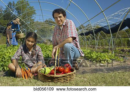 Multi-ethnic father and daughter with organic produce View Large Photo Image Stock Photo - Multi-ethnic father and daughter with organic produce. Fotosearch