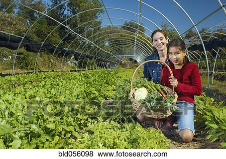 Stock Photo - Multi-ethnic mother and daughter harvesting organic produce. Fotosearch