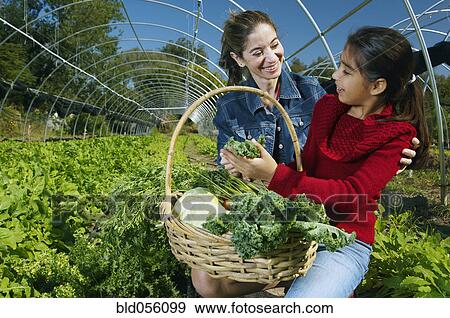Stock Photo - Multi-ethnic mother and daughter harvesting organic produce. Fotosearch