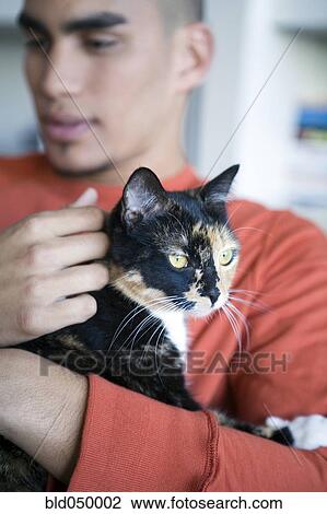 African American man petting cat View Large Photo Image Stock Image - African American man petting cat. Fotosearch