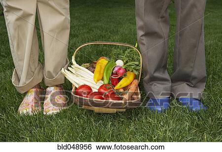 Basket of vegetables between senior Asian couple View Large Photo Image Stock Photograph - Basket of vegetables between senior Asian couple. Fotosearch