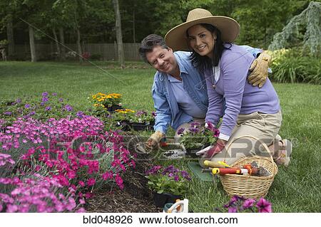 Hispanic couple gardening View Large Photo Image Stock Photograph - Hispanic couple gardening. Fotosearch
