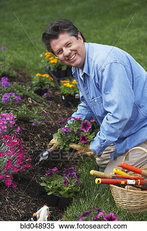 Stock Photography - Hispanic man gardening. Fotosearch