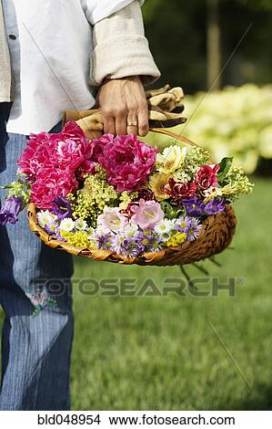 Picture - Hispanic woman holding basket of flowers. Fotosearch