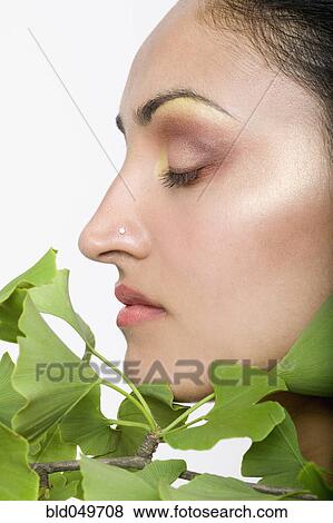 Indian woman’s face next to gingko biloba plant View Large Photo Image Stock Photo - Indian woman’s face next to gingko biloba plant. Fotosearch