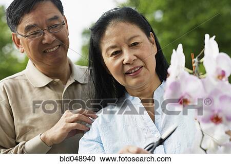 Stock Image - Senior Asian couple pruning flowers. Fotosearch