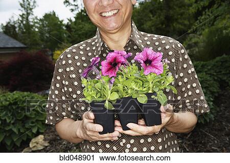 Stock Image - Senior Asian man holding potted plants. Fotosearch