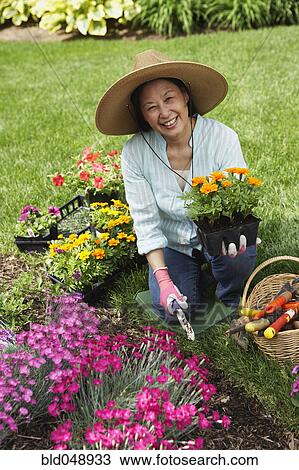 Stock Image - Senior Asian woman gardening. Fotosearch