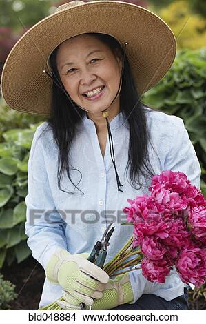 Senior Asian woman holding flowers View Large Photo Image Picture - Senior Asian woman holding flowers. Fotosearch