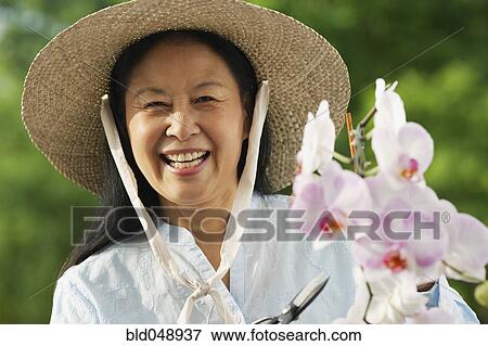 Senior Asian woman pruning flowers View Large Photo Image Stock Photo - Senior Asian woman pruning flowers. Fotosearch