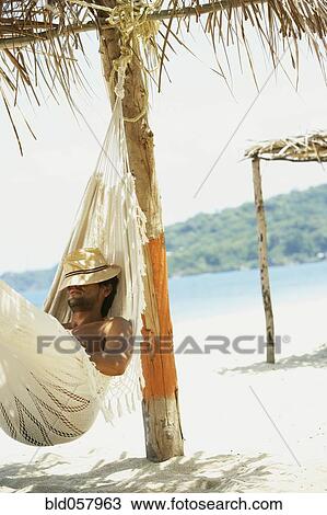 Hispanic man laying in hammock View Large Photo Image Stock Image - Hispanic man laying in hammock. Fotosearch
