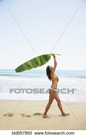 Stock Image - Topless Hispanic woman holding palm frond. Fotosearch