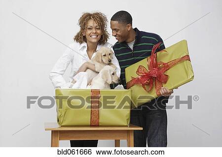 Stock Photograph - African couple taking puppies out of gift box. Fotosearch