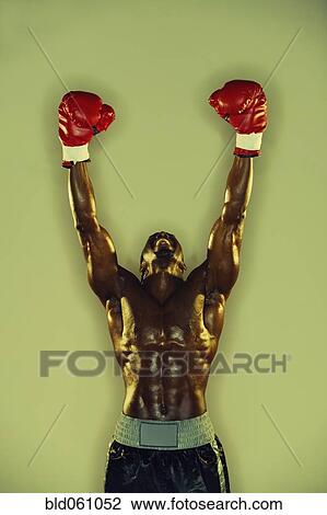 African male boxer with arms raised View Large Photo Image Stock Image - African male boxer with arms raised. Fotosearch