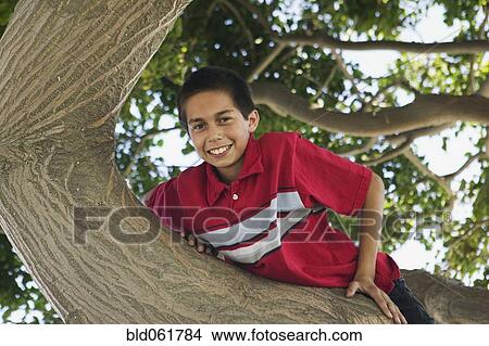 Hispanic boy climbing tree View Large Photo Image Picture - Hispanic boy climbing tree. Fotosearch