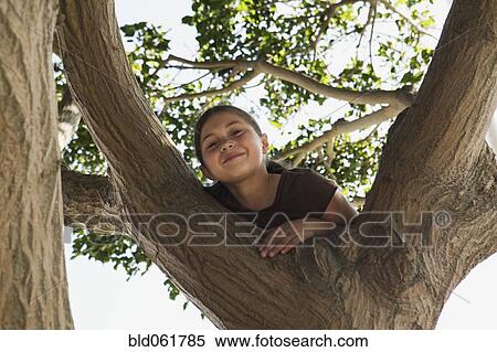 Hispanic girl climbing tree View Large Photo Image Stock Photography - Hispanic girl climbing tree. Fotosearch