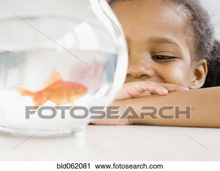 Mixed race girl looking at goldfish View Large Photo Image Stock Image - Mixed race girl looking at goldfish. Fotosearch