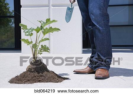 Asian man standing near pile of soil and plant View Large Photo Image Stock Photo - Asian man standing near pile of soil and plant. Fotosearch