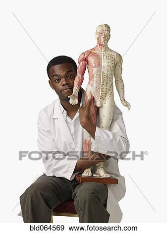 Stock Photo - African chiropractor holding anatomical model. Fotosearch