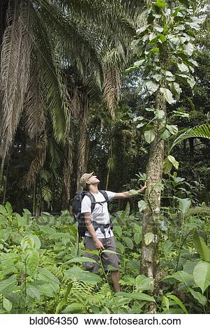 Hispanic man exploring jungle View Large Photo Image Stock Image - Hispanic man exploring jungle. Fotosearch