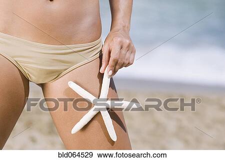 Midsection of Hispanic woman holding starfish View Large Photo Image Stock Photo - Midsection of Hispanic woman holding starfish. Fotosearch