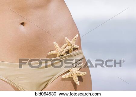 Starfish tucked into woman’s bikini bottoms View Large Photo Image Stock Image - Starfish tucked into woman’s bikini bottoms. Fotosearch