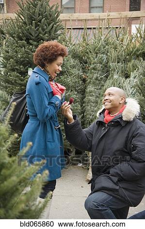 Stock Image - African man giving girlfriend engagement ring in Christmas tree lot. Fotosearch