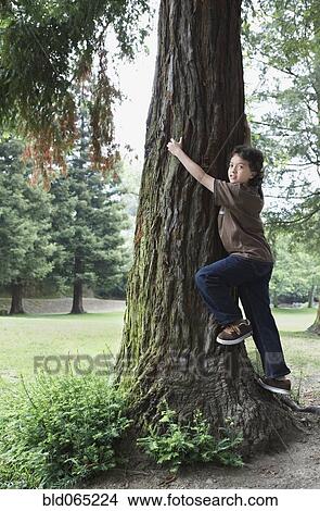Picture - Mixed race boy climbing tree trunk. Fotosearch