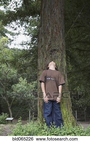 Mixed race boy leaning on tree trunk View Large Photo Image Stock Photograph - Mixed race boy leaning on tree trunk. Fotosearch