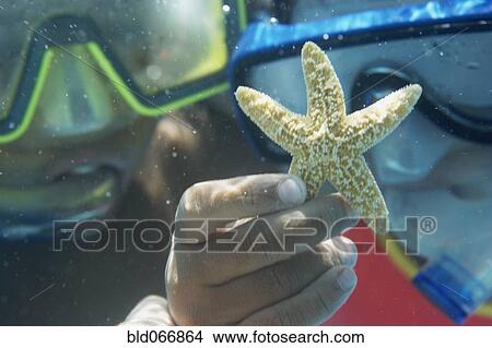 Children holding starfish underwater View Large Photo Image Picture - Children holding starfish underwater. Fotosearch